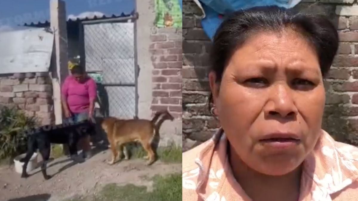 Familia De Scooby El Perro Lanzado A Cazuela Con Aceite Da Su