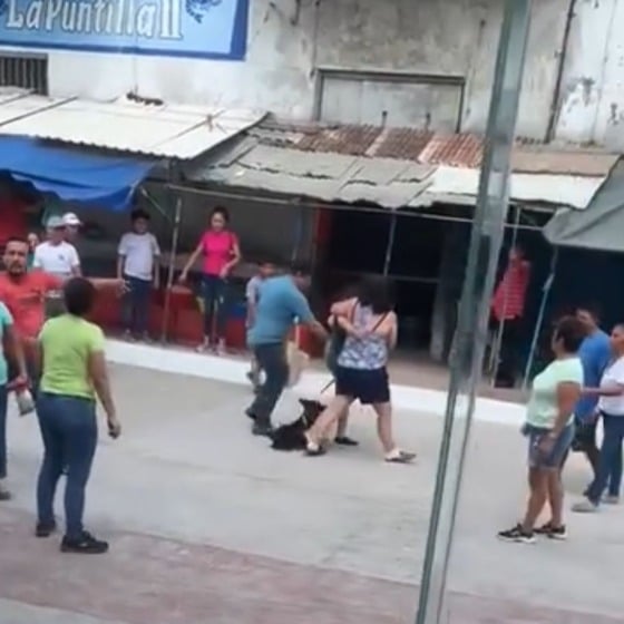 Mujeres Protagonizan Pelea En Mercado De Tampico Por Las Heces De Un