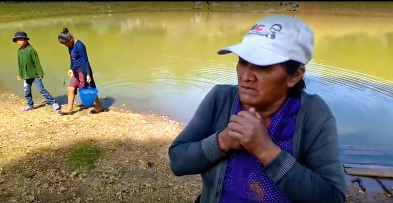 Norma Chiapas Norma Chiapas