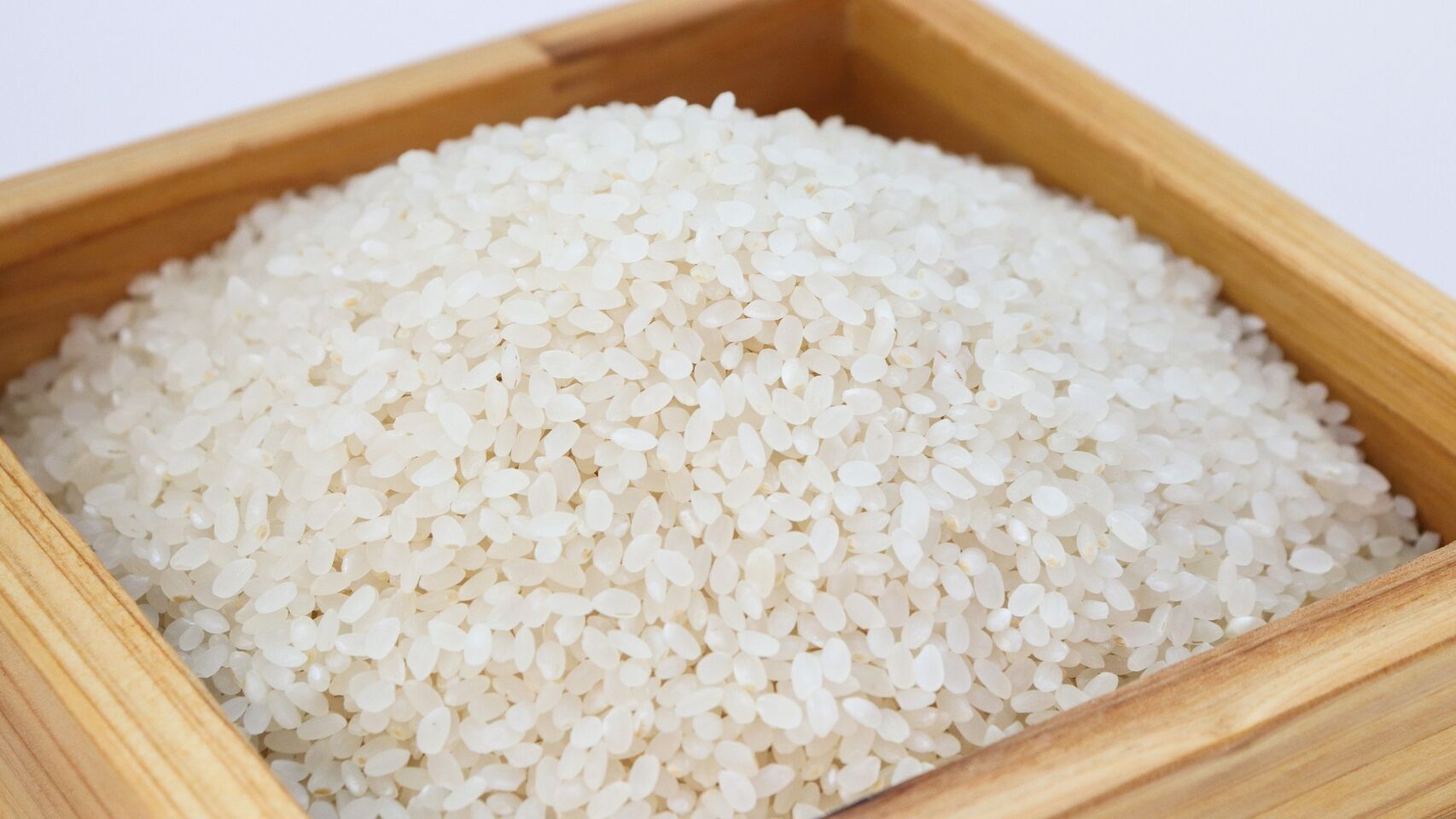 Arroz Arroz
