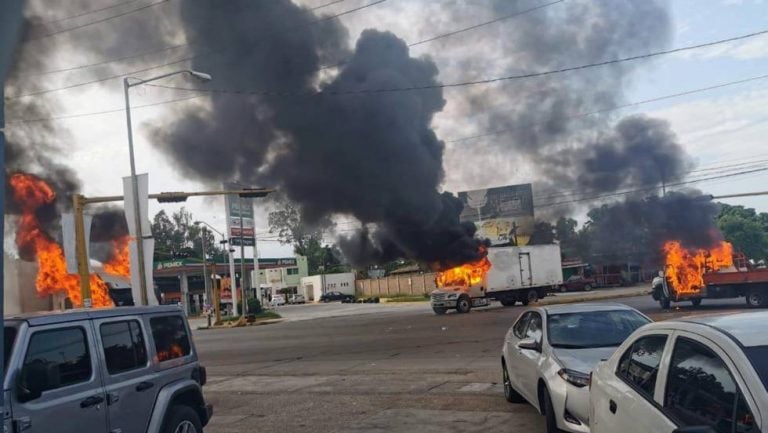 Incendios causados por el narcotráfico Incendios causados por el narcotráfico