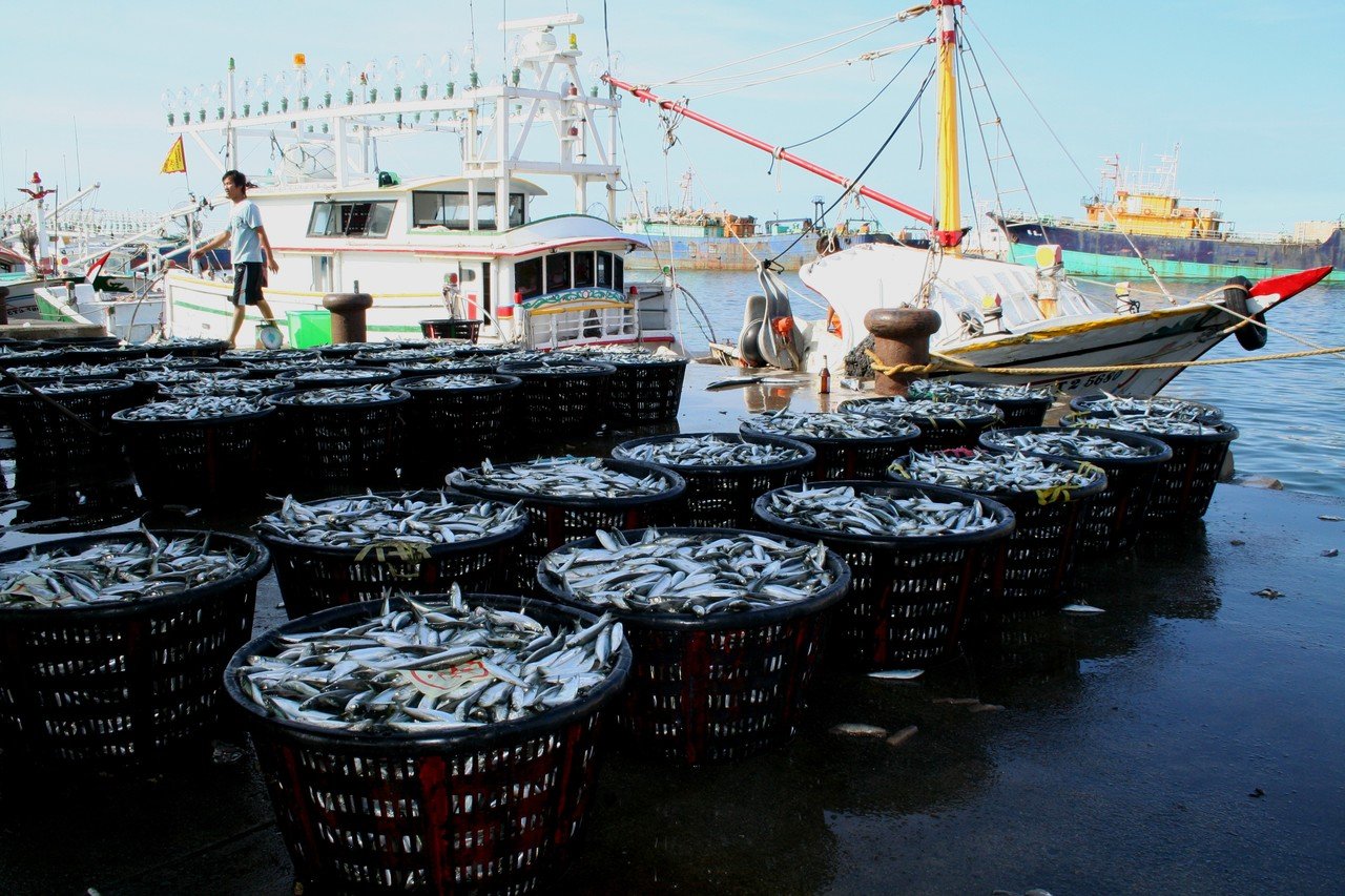 herring-harvest-fishing-boat-landing-catch-boat-1613555-pxhere.com