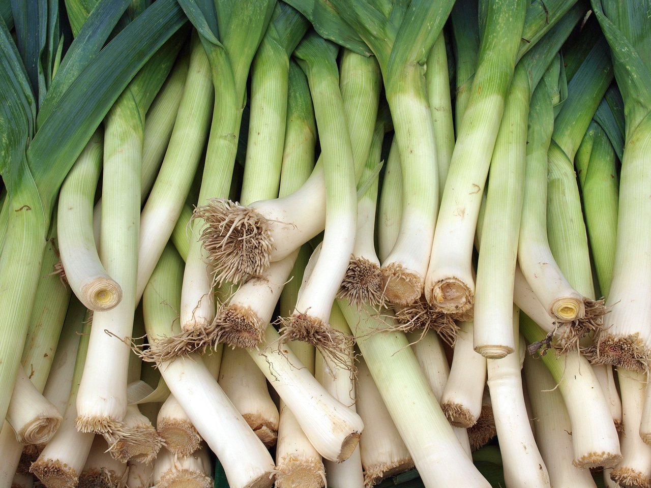 leek-onions-leek-vegetables-food-nutrition-cook-1602097-pxhere.com