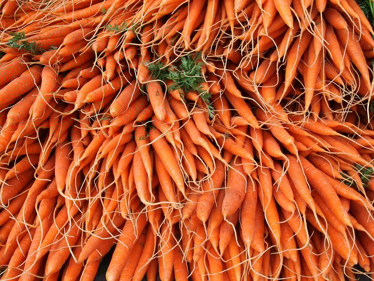carrots-vegetables-food-nutrition-cook-cooking-1602092-pxhere.com carrots-vegetables-food-nutrition-cook-cooking-1602092-pxhere.com
