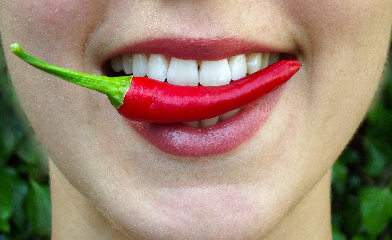 chilli-1437775_1280 chilli-1437775_1280