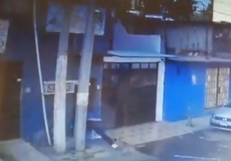 El perro le mordió un tobillo El perro le mordió un tobillo