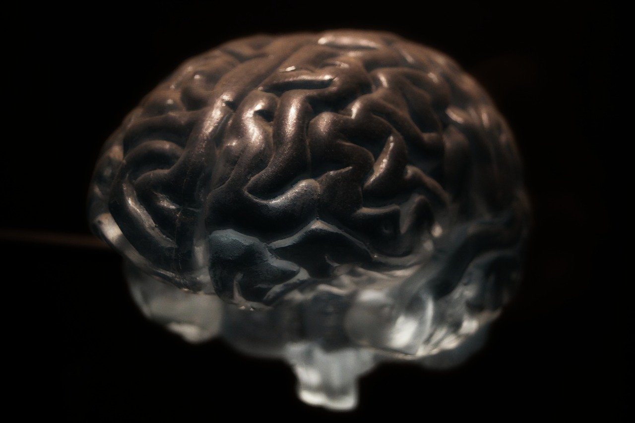 brain-2070412_1280 brain-2070412_1280