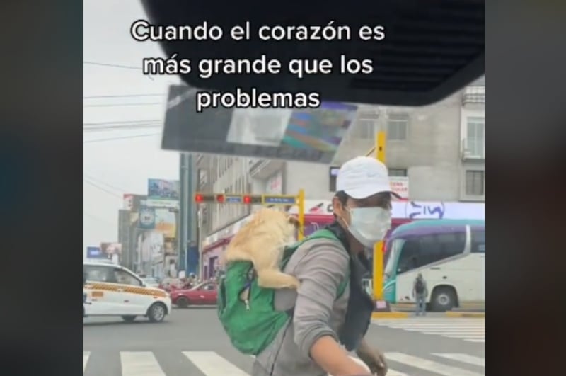 Siempre lleva a su mejor amigo en la espalda 