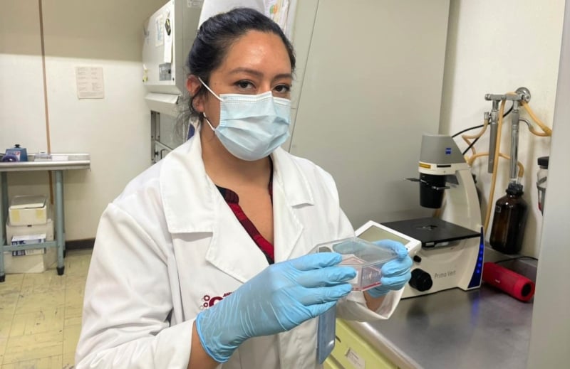 El biofármaco se encuentra en sus primeras etapas de desarrollo El biofármaco se encuentra en sus primeras etapas de desarrollo