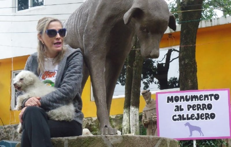 Paty Muñoz, fundadora del refugio 