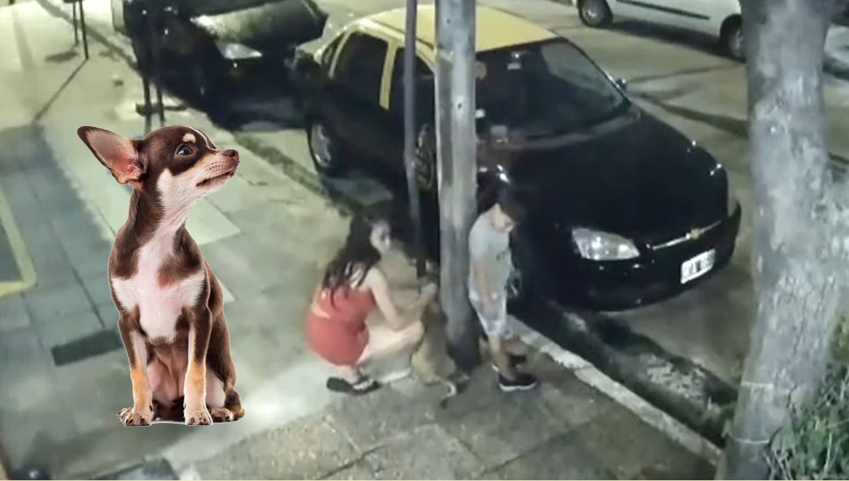 Mujer deja a perro amarrado a un poste en plena Navidad video