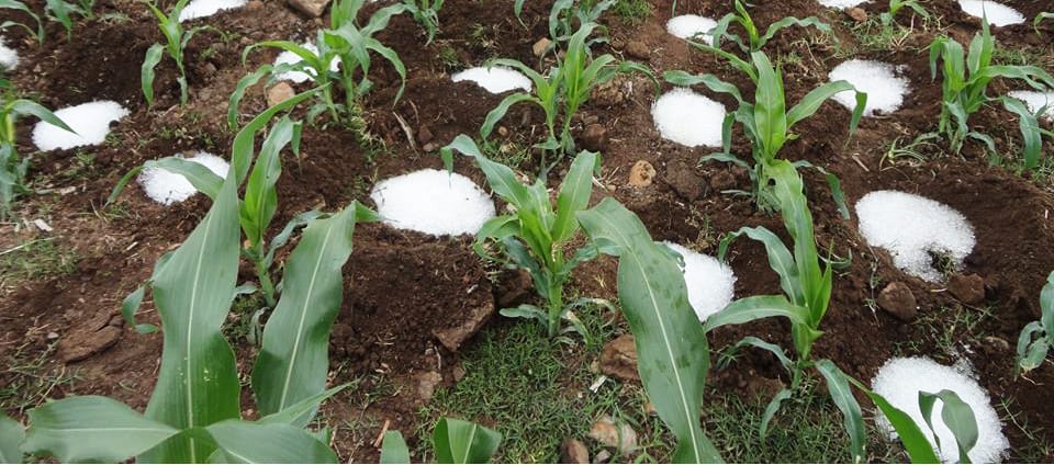Lluvia Sólida es un producto usado en países con problemas de agua como Arabia Saudita y el norte de África Lluvia Sólida es un producto usado en países con problemas de agua como Arabia Saudita y el norte de África