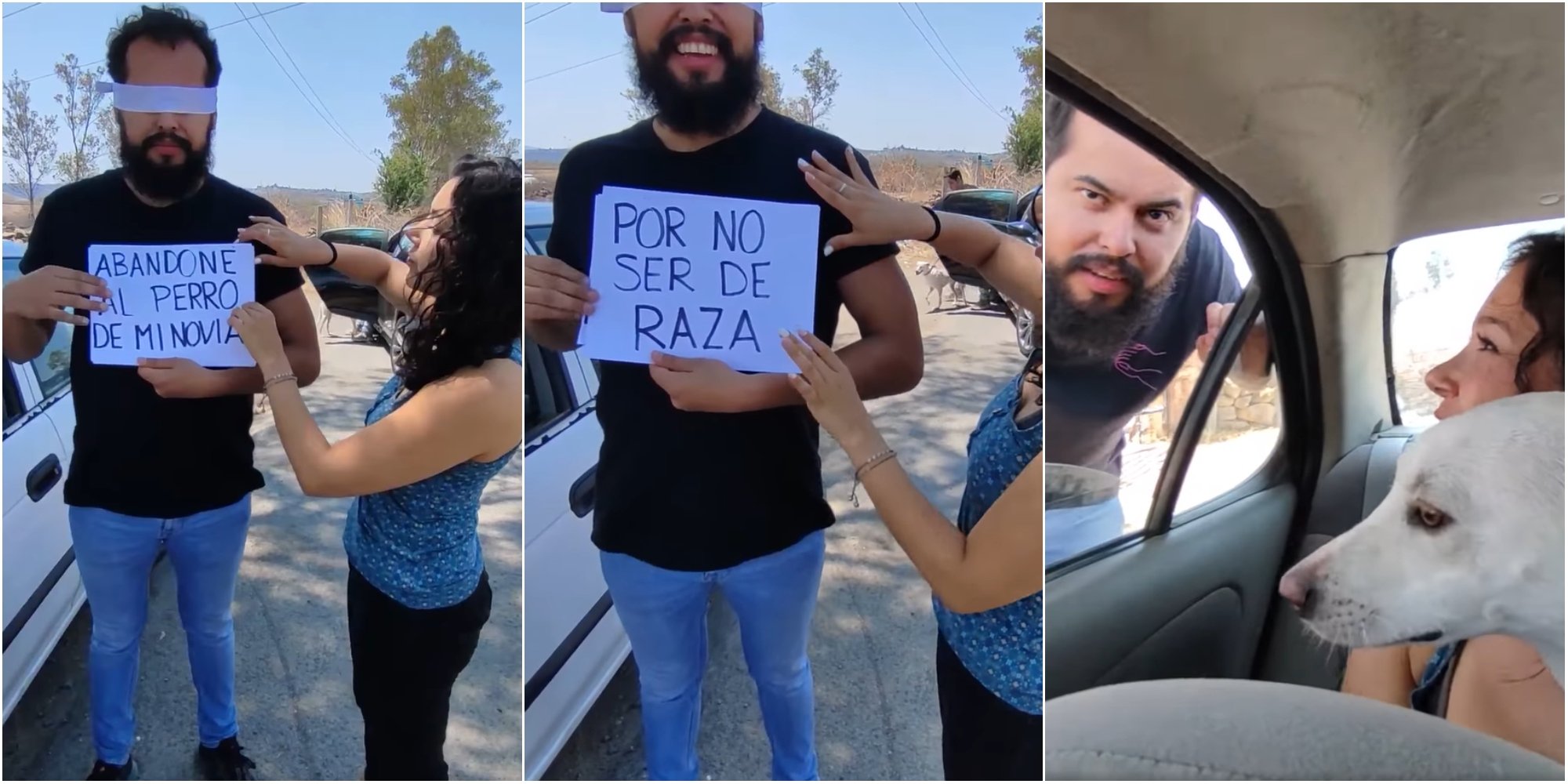 Mujer abandona a su novio así como él lo hizo con su perrita por no ser de raza