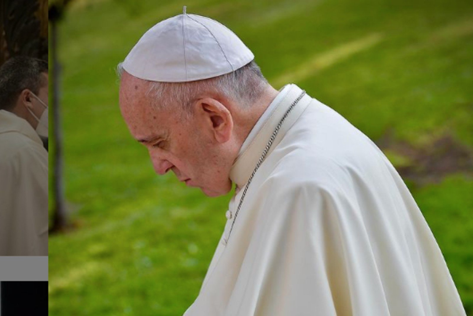 Ellos son los dos cardenales considerados los más grandes opositores al Papa Francisco 