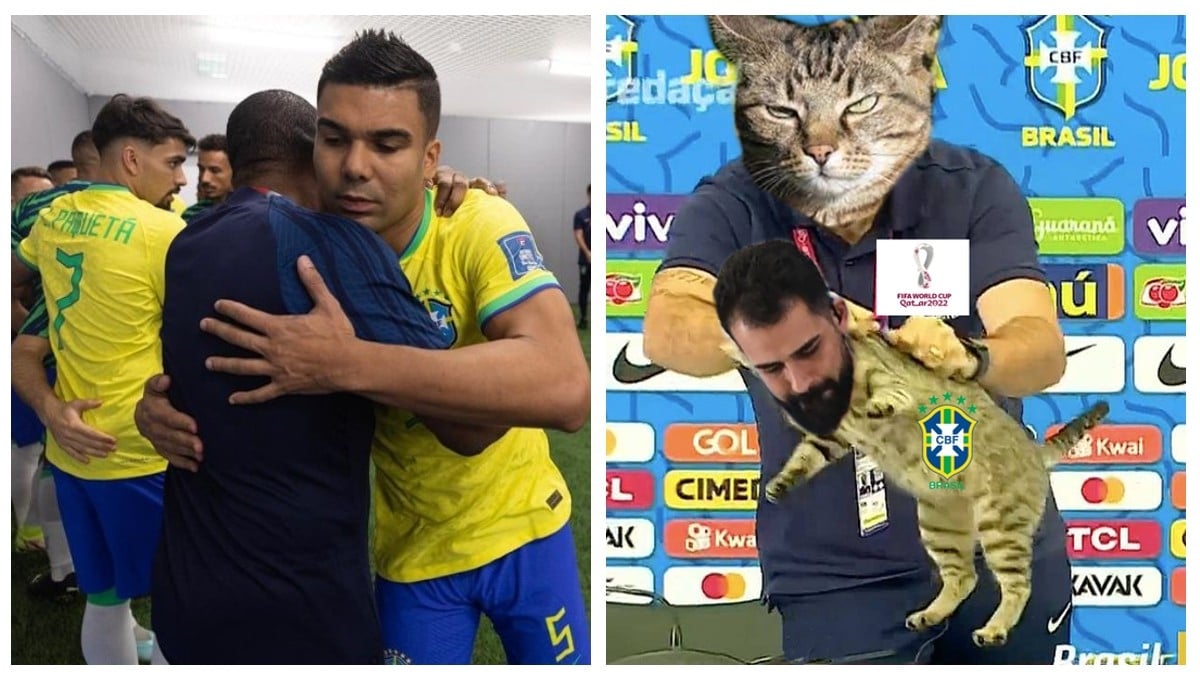 La maldición del gato: Eliminan a Brasil del Mundial tras maltratar a un michi