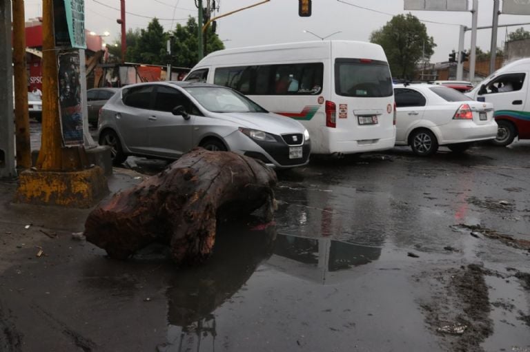 Tirar basura en Ecatepec ya se castiga con arresto o multa; van 30 detenidos