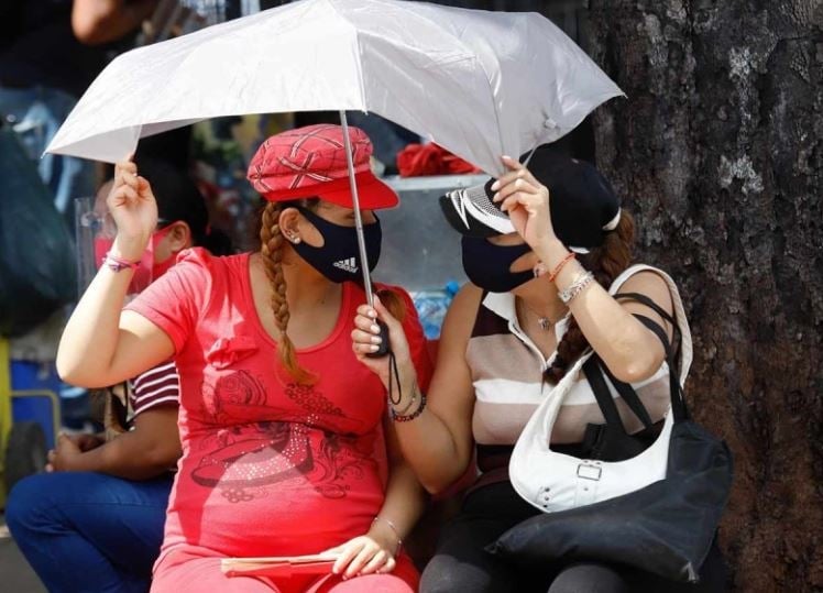 ¿Cuándo empieza la canícula en este 2022? Quinto Poder