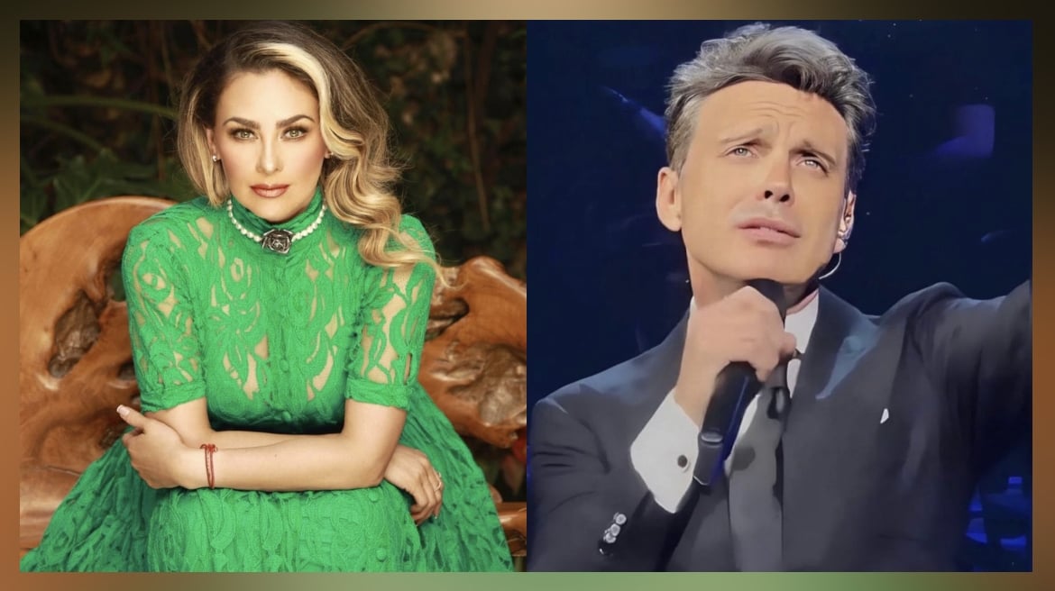 Aracely Arámbula rompe el silencio: en esto usará los millones que obligó a pagar a Luis Miguel