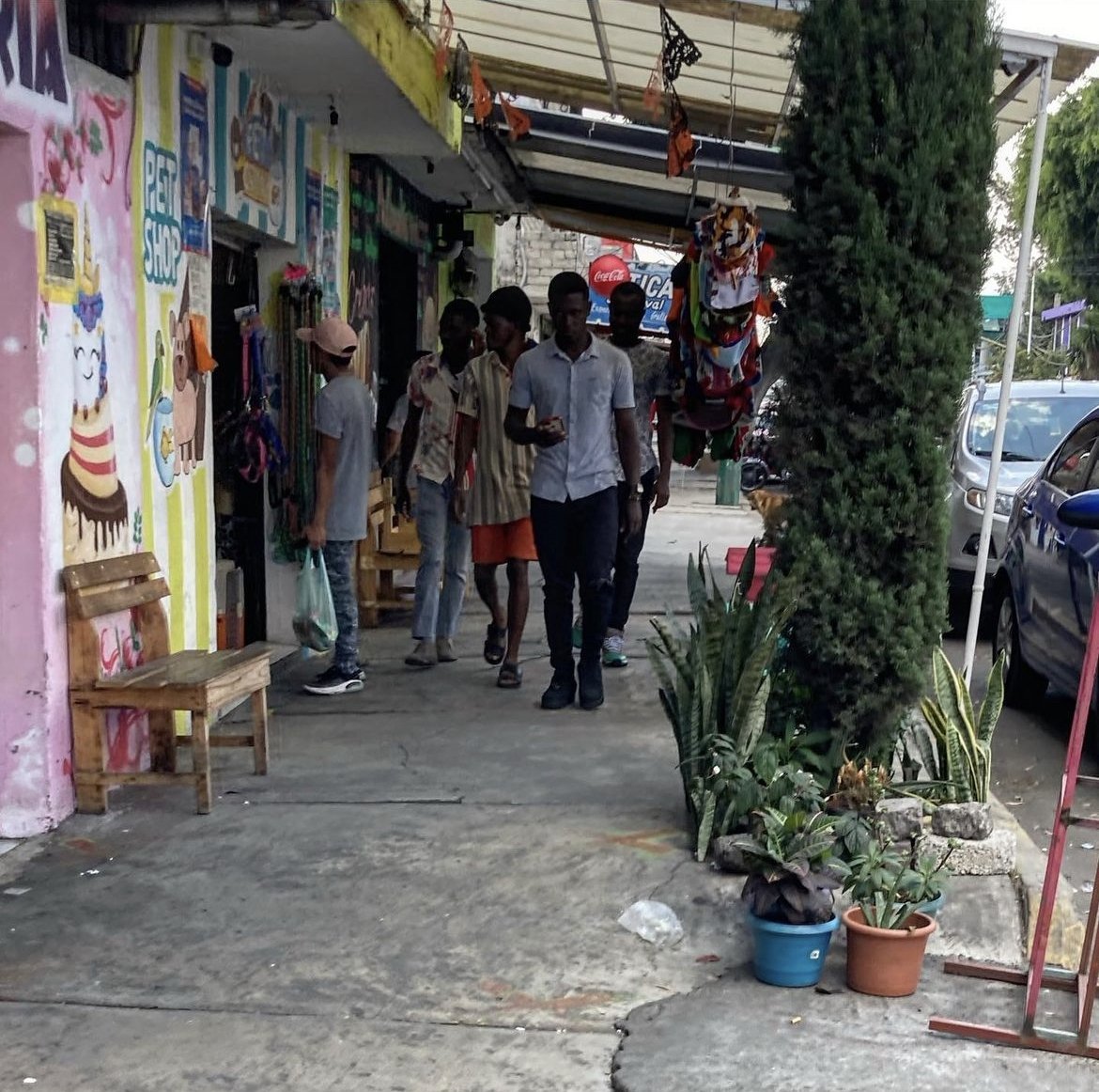 Migrantes haitianos se establecen en la CDMX y se olvidan del sueño americano