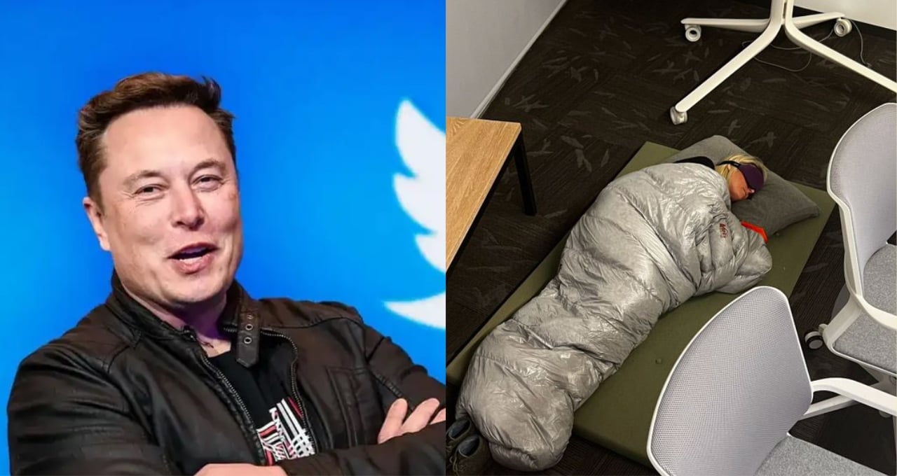 Despiden a empleada de Twitter que dormía en la oficina y defendía a Elon Musk