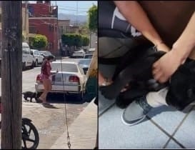 Captan a mujer paseando con un jaguar  bebé en Jalisco; Profepa lo rescata
