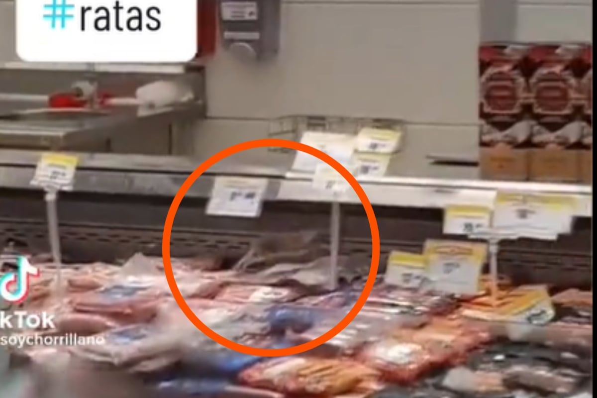 Captan a dos enormes ratas caminando en comida de centro comercial