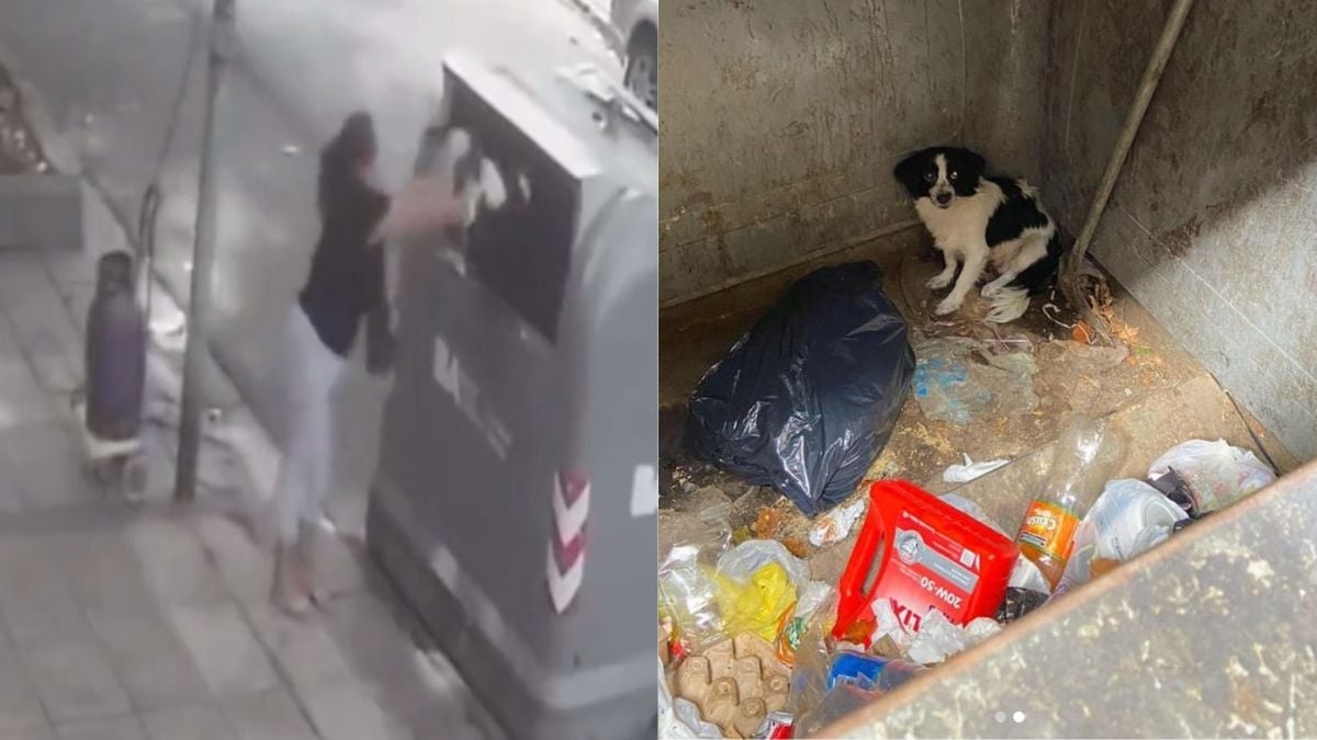 VIDEO: mujer tira a su perrita a la basura y logran rescatarla