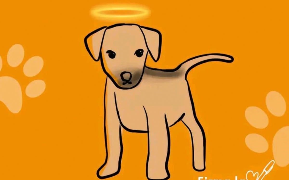 Justicia para Huellitas, perrito asesinado por adolescente en Huauchinango, Puebla
