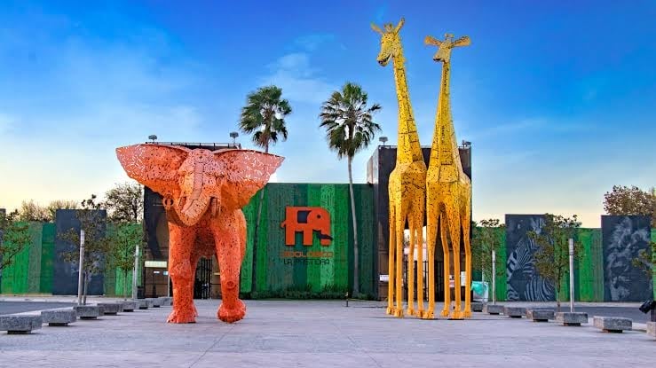 Reubican a tigres y lobos del zoológico Nuevo León a santuario de Sinaloa