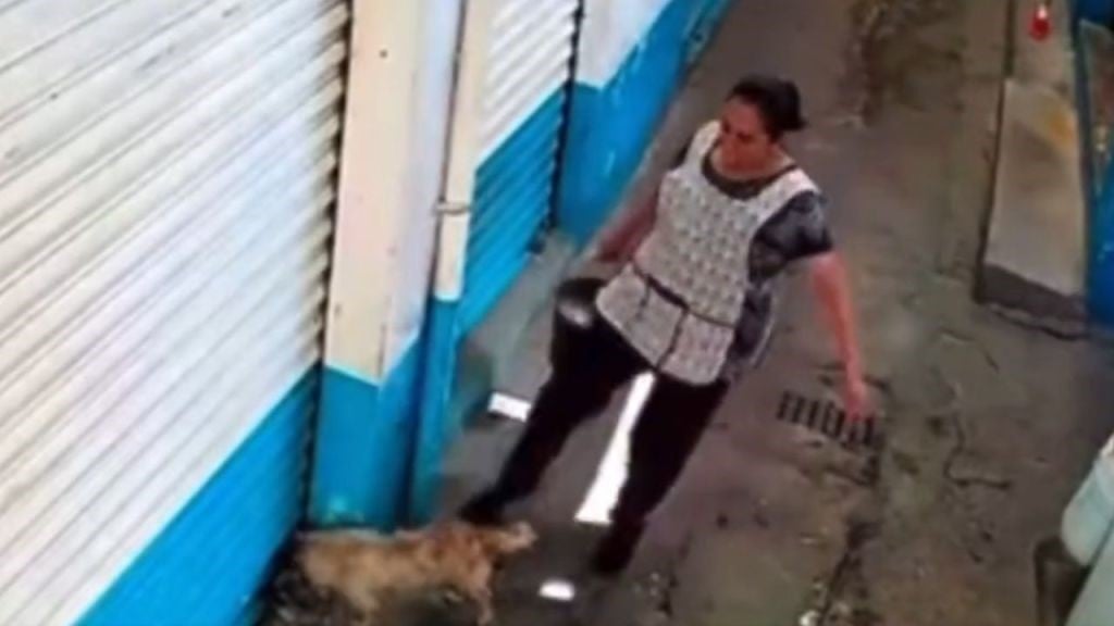 Clausuran local de mujer que maltrató a perrito en mercado de Ecatepec