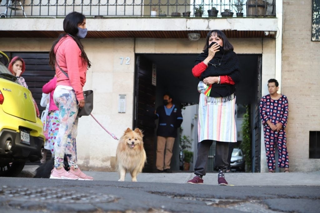 ¿Qué hacer con tus mascotas en caso de sismo? Prepárate para simulacros y terremotos reales