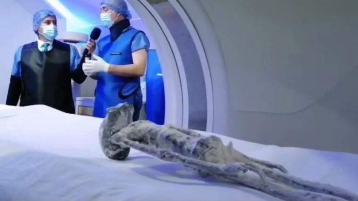 VIDEO: Realizan Rayos X a cuerpos extraterrestres de Jaime Maussan y le dan la razón