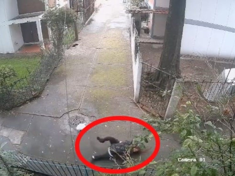 Mujer sufre violento asalto en Tlalpan; ladrón la derriba y la arrastra